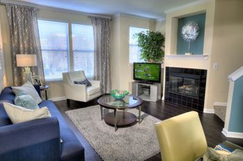 Intimate In-Home Fireplace*