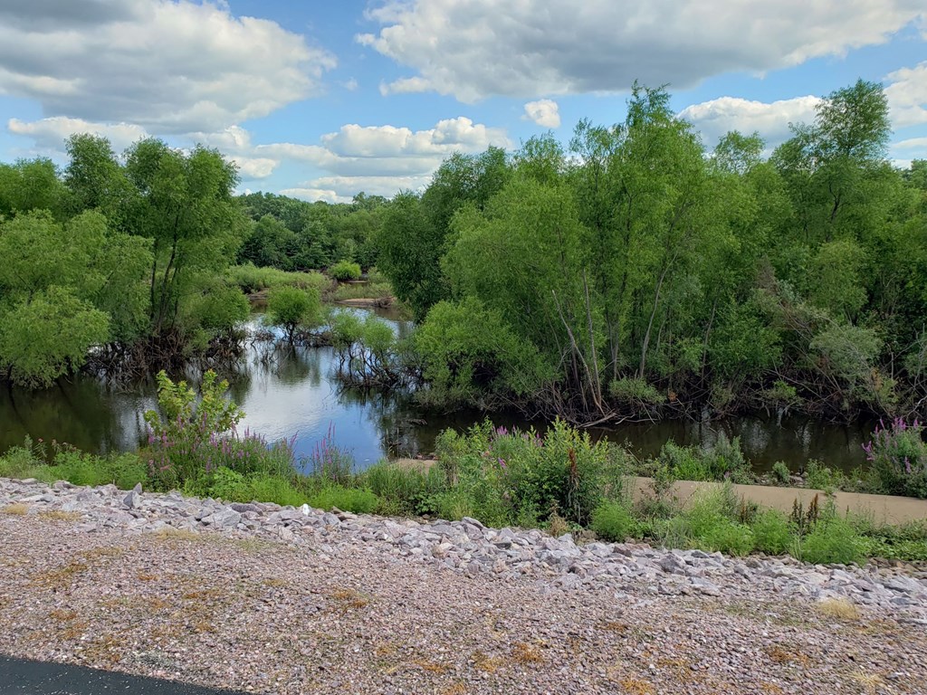 a small body of water surrounded by trees and gravel
