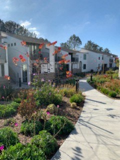 a row of houses with a garden in front of them