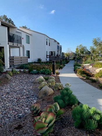 309 N. Solana Hills Drive Studio-2 Beds Apartment for Rent - Photo Gallery 3
