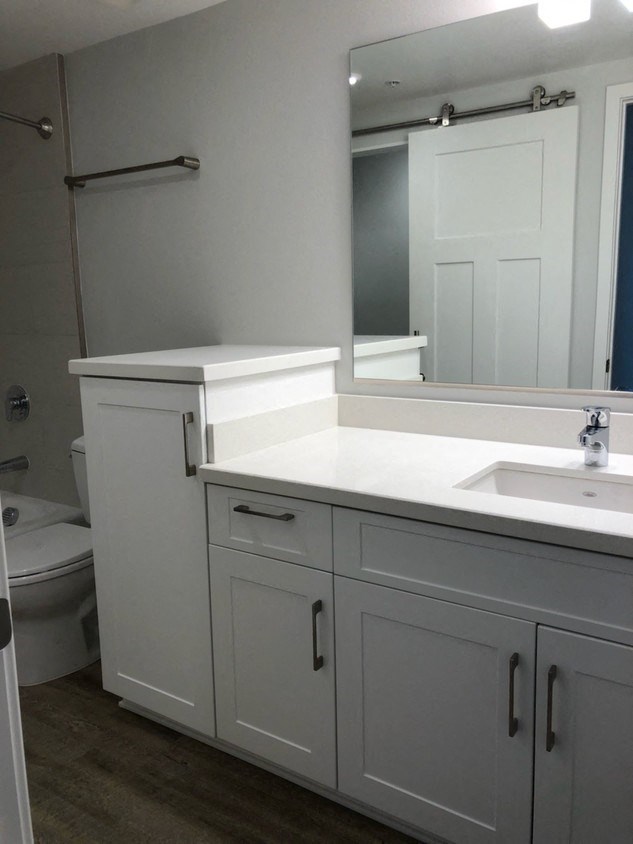 a bathroom with a sink and a toilet and a mirror