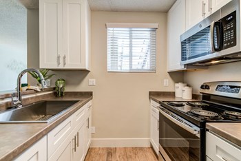 5353 Baltimore Drive Studio-2 Beds Apartment, Market Rate, Smoke Free for Rent - Photo Gallery 4