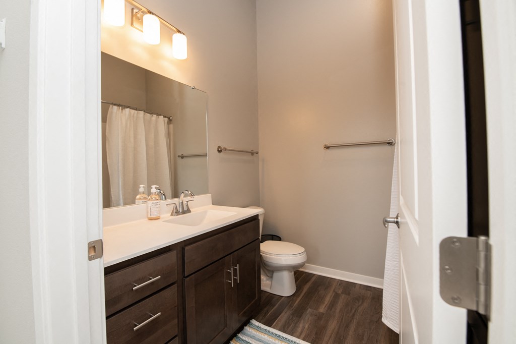 a bathroom with a sink and a toilet and a mirror