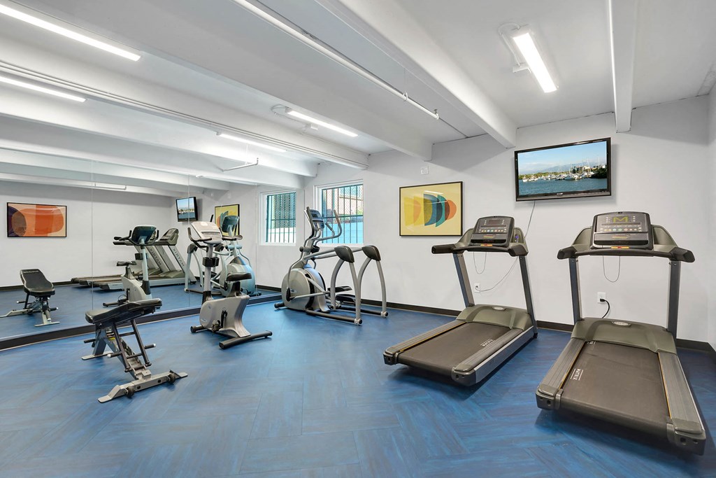 a gym with various cardio equipment and weights