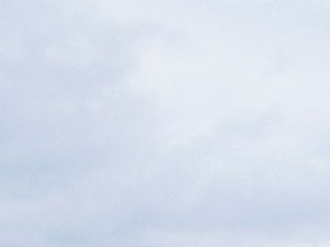 Hartford Ct Apartments For Rent Rentcafe