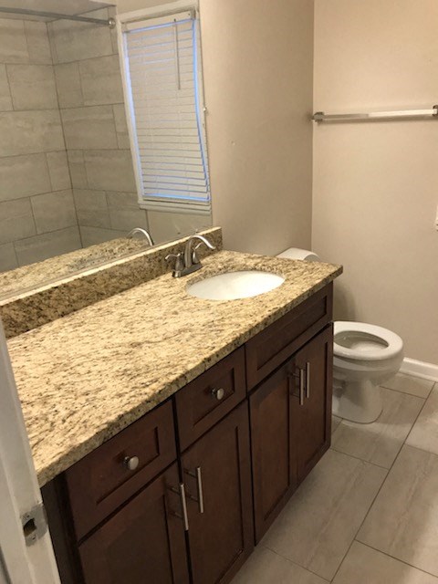 a bathroom with a sink and a toilet