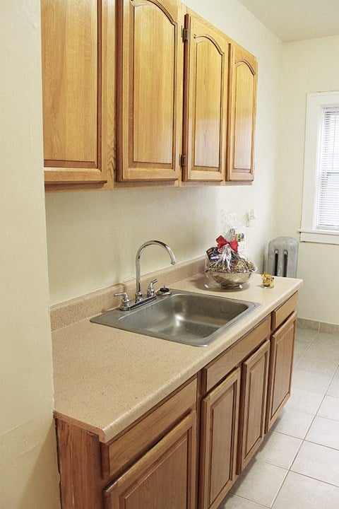 a kitchen with a sink and wooden cabinets