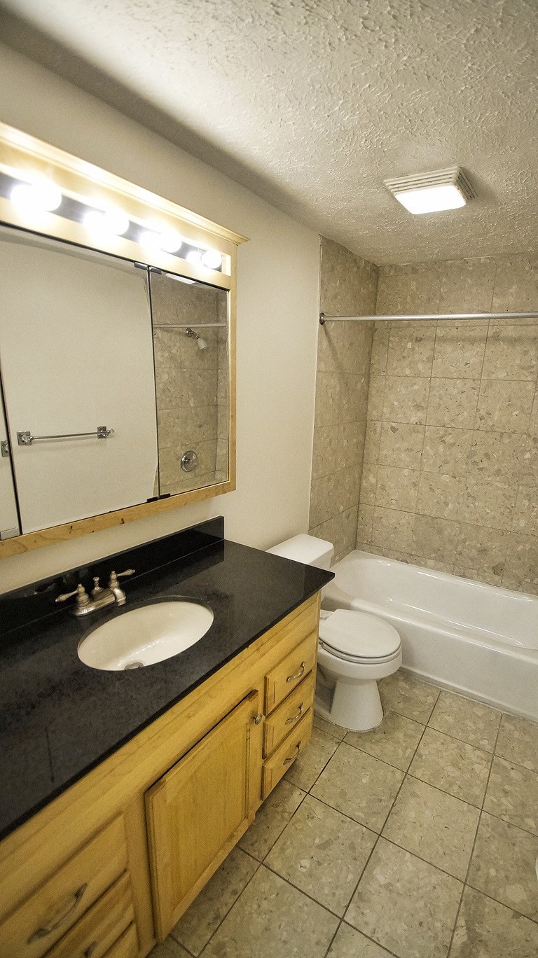 a bathroom with a sink and a toilet and a tub