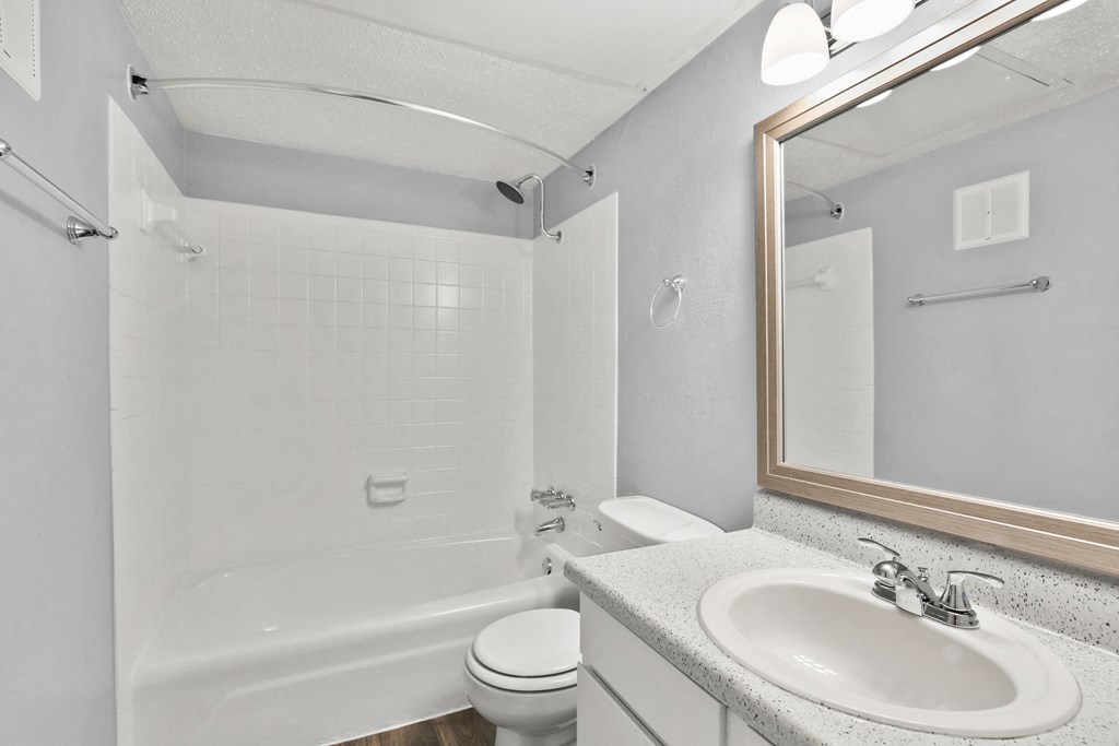 a bathroom with a sink toilet and a mirror