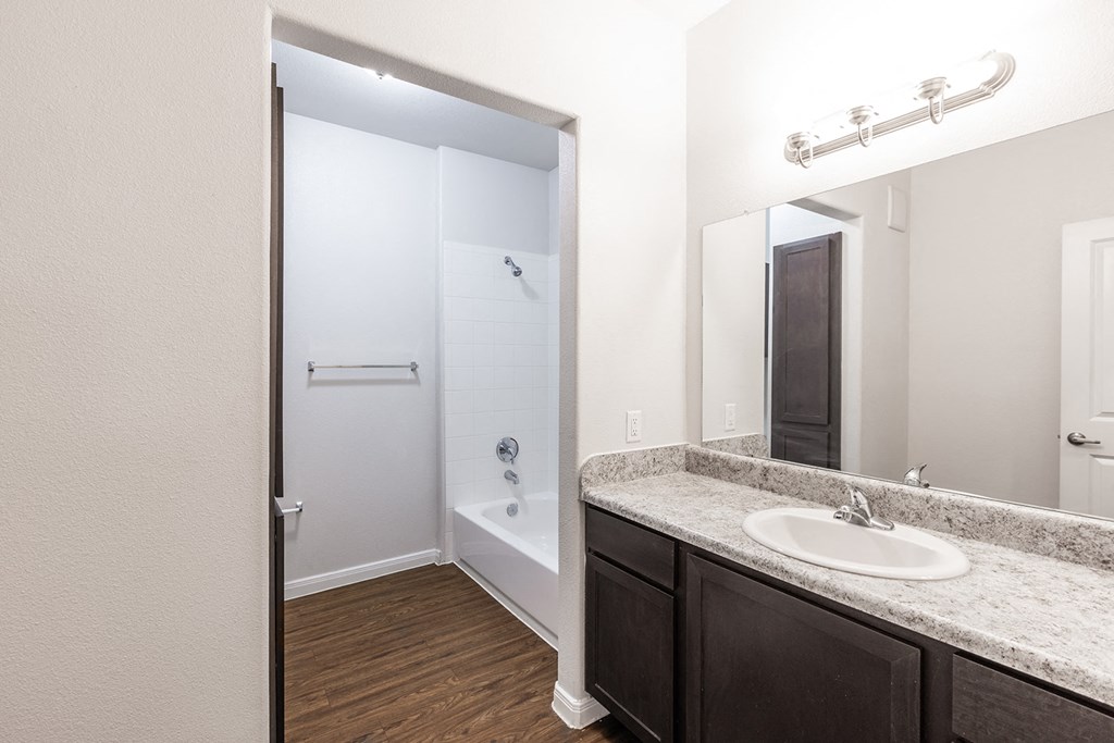 a bathroom with a sink and a shower and a mirror