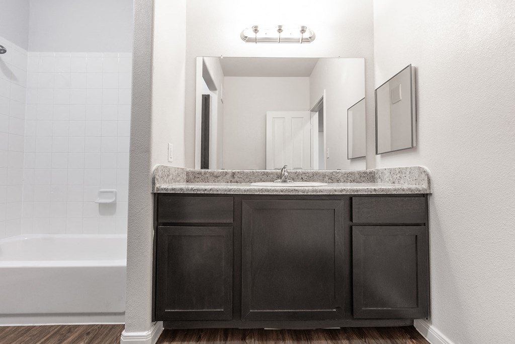 a bathroom with a sink and a mirror