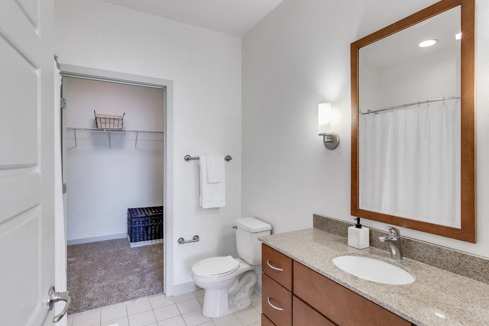 a bathroom with a shower toilet and sink and a mirror