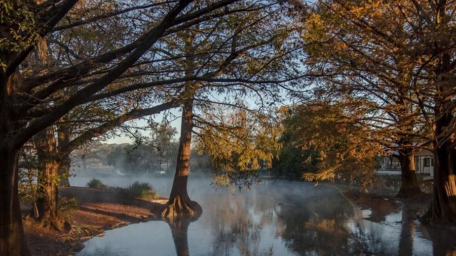 Unique Landscape Design at The Landmark, Texas