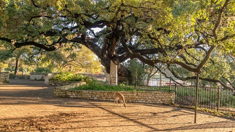Amazing Outdoor Spaces at The Landmark, New Braunfels, TX, 78130