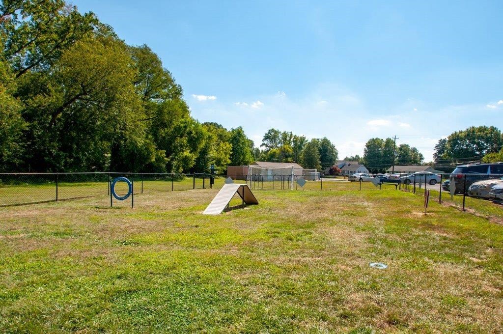 a park with a skateboard ramp in the grass