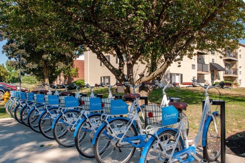 a row of blue bikes parked next to a tree