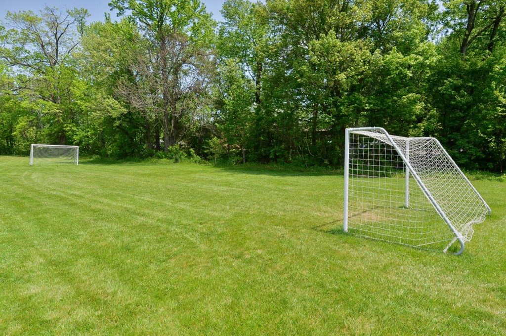 two soccer goals on a field with grass and trees