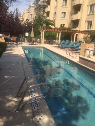 2500 Cherry Creek Drive South 2 Beds Apartment for Rent - Photo Gallery 2