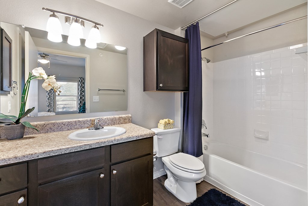 a bathroom with a toilet sink and shower and a mirror