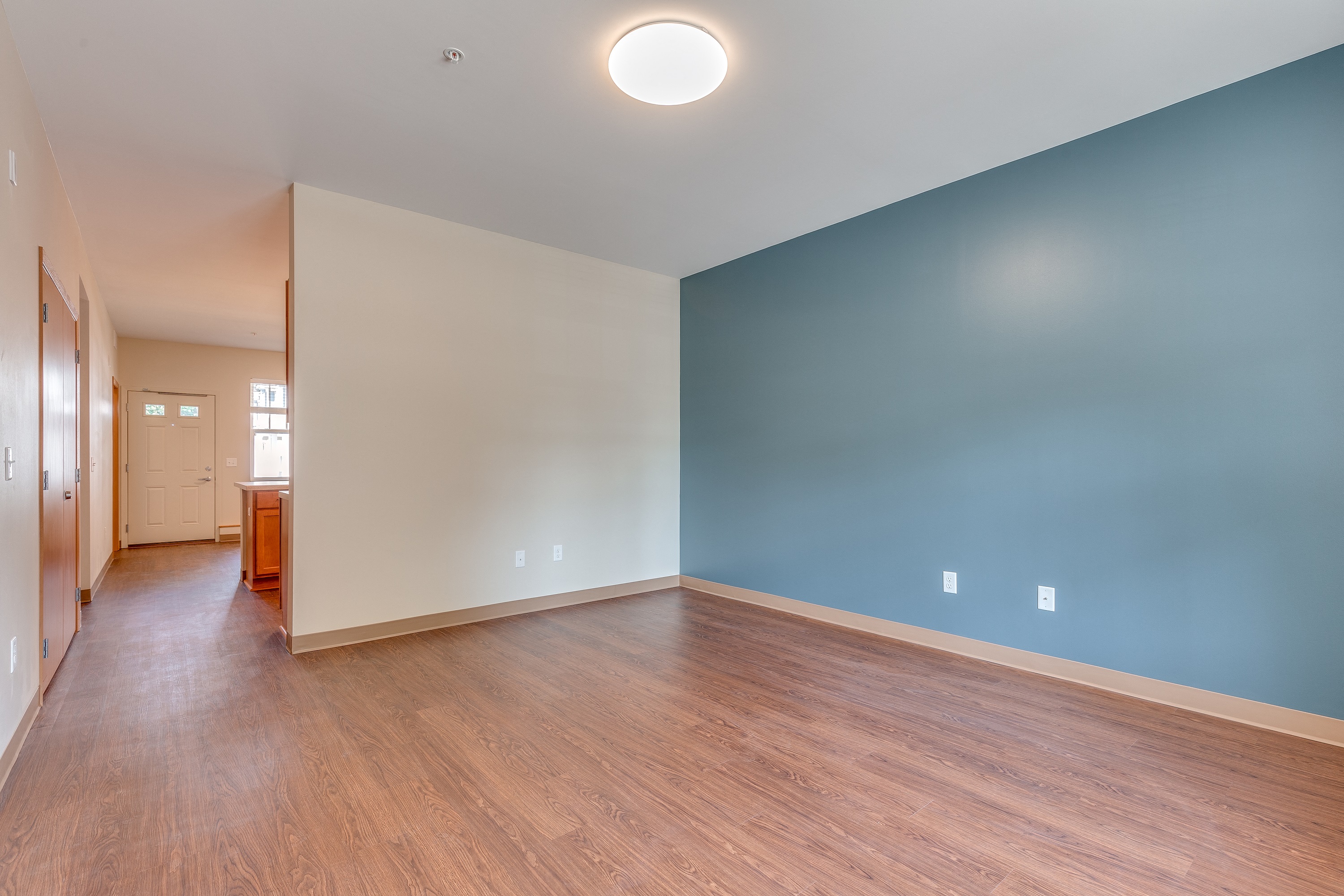 Blue Wall Living Area