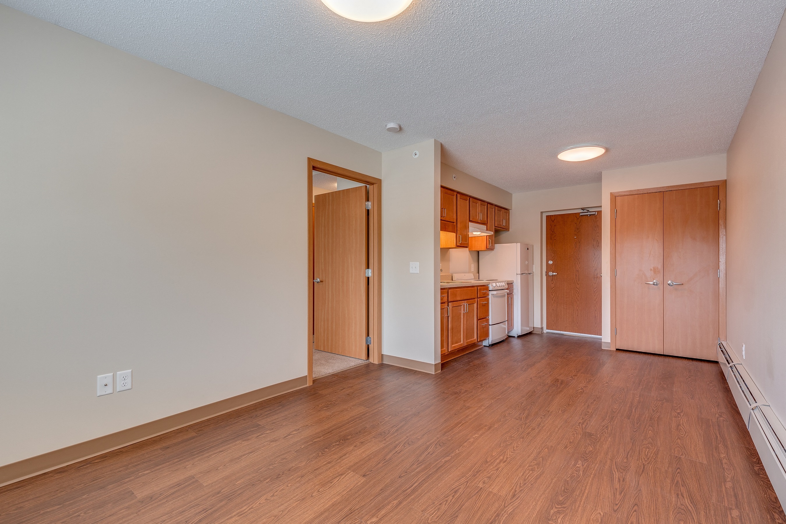 Living and Kitchen Area