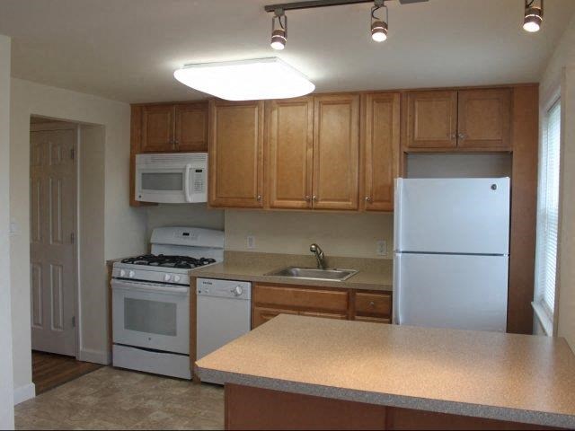 a kitchen with a stove refrigerator and a sink
