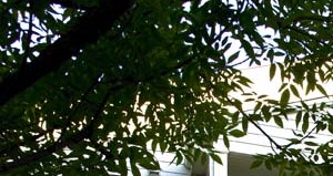 Crestview Apartments Apartments In Parlin Nj