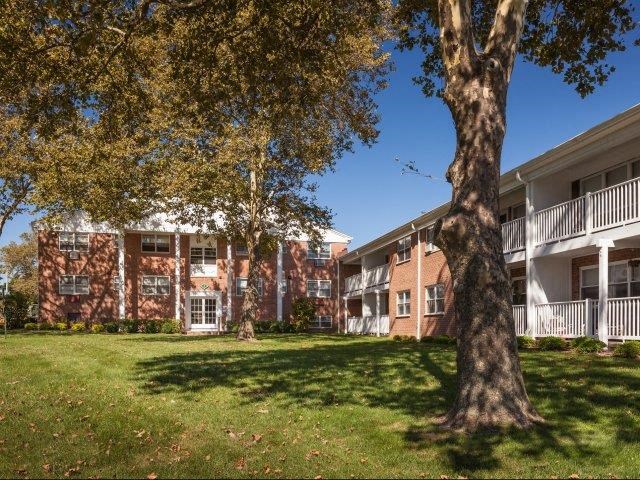 a large tree in front of an apartment building