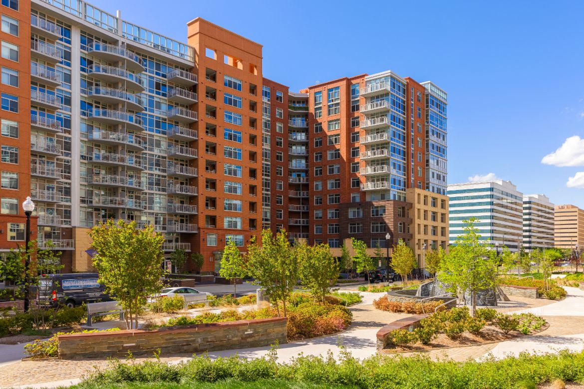 a view of the city from a park with trees and buildings