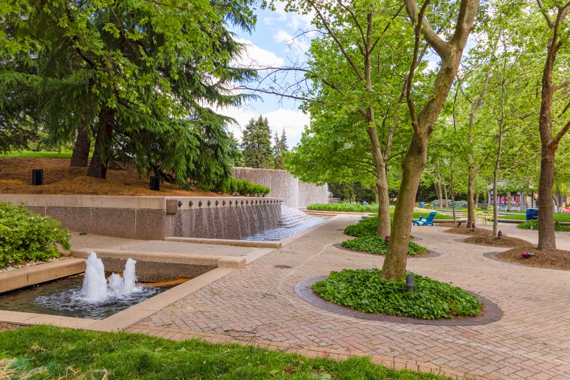 a park with water fountains and trees