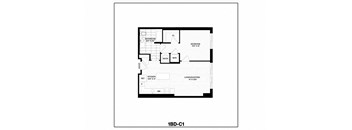 1 Bed/1 Bath-C1