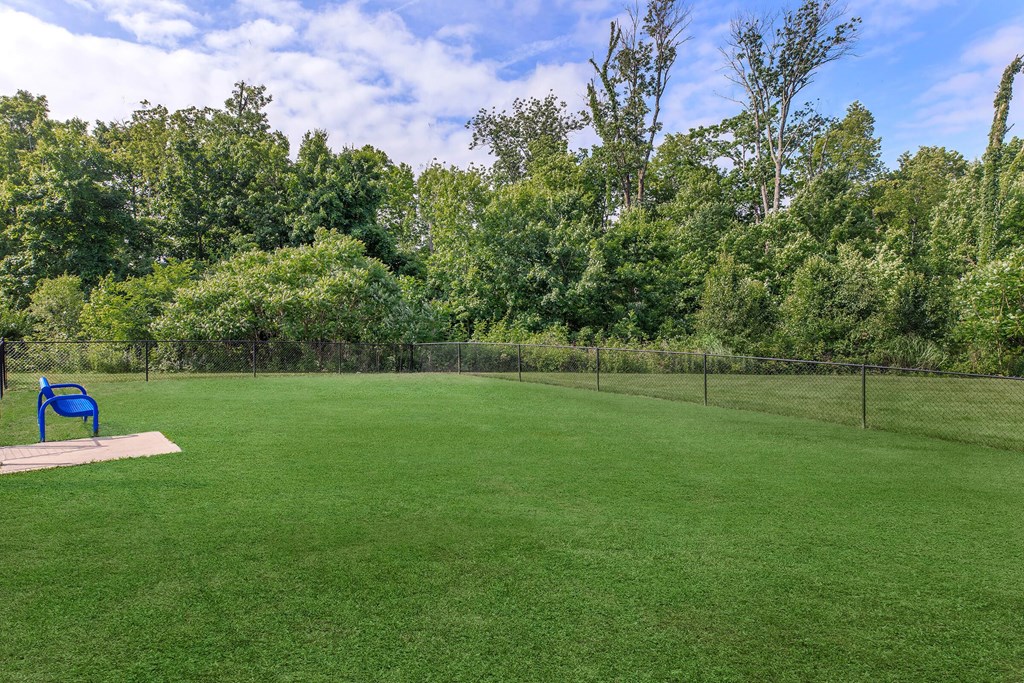 a park with a blue bench in the middle of a grass field