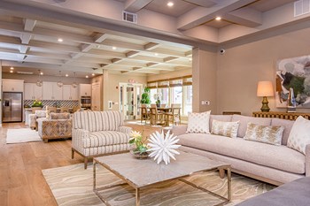 Clubhouse Lounge | The Village at Vintage Ranch in American Canyon, CA 94503 - Photo Gallery 3