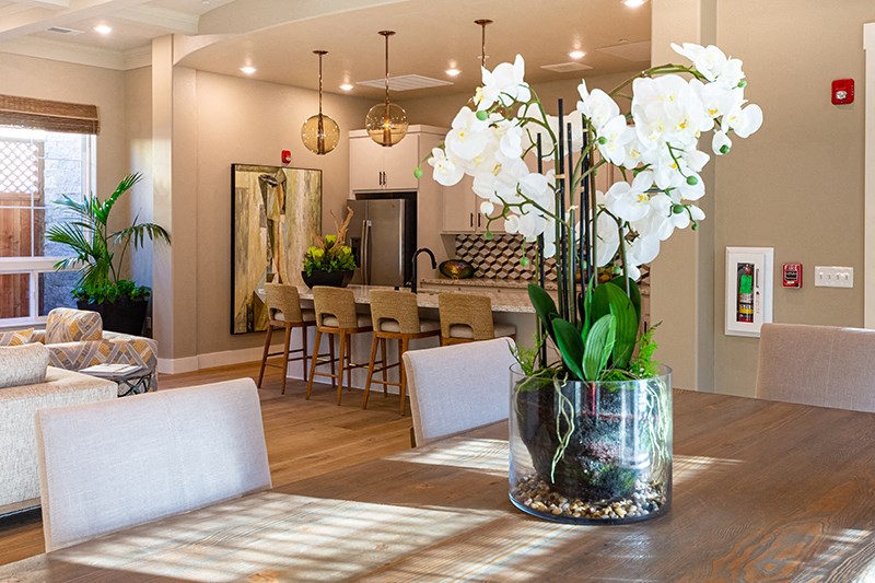 Clubhouse Kitchen | The Village at Vintage Ranch in American Canyon, CA 94503