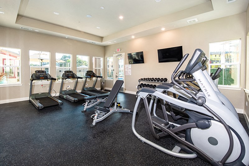 Dog-Friendly Apartments in American Canyon, CA- The Village at Vintage Ranch- Multiple Windows with Treadmills and Padded Flooring