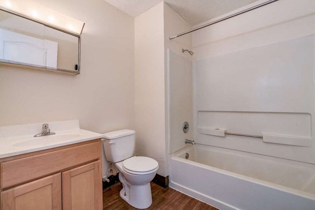 a bathroom with a toilet and a tub and a sink
