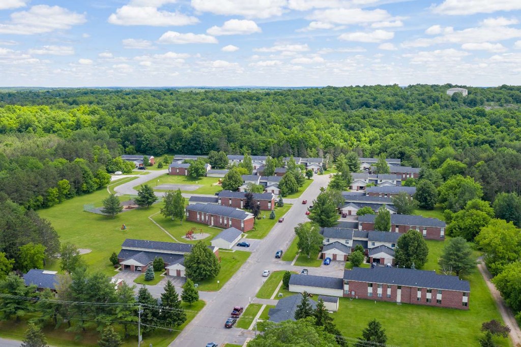 an aerial view of a neighborhood with houses and trees