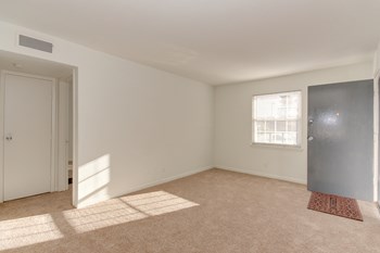 3303 Azalea Garden Road, #1 2 Beds Apartment for Rent - Photo Gallery 4