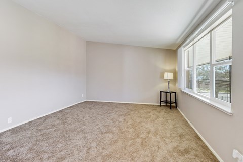 an empty living room with carpet and a window