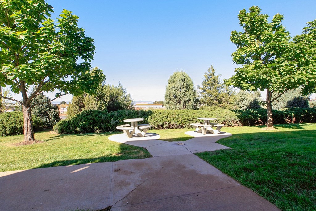 a picnic area with benches and trees in a park