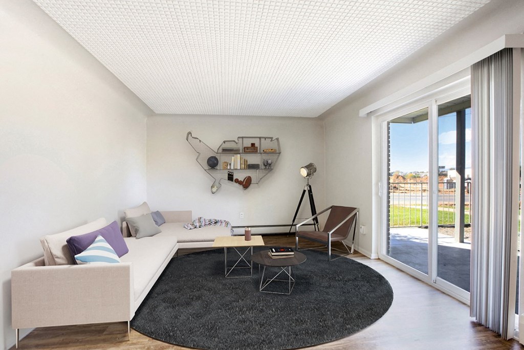 a living room with a white couch and a black rug