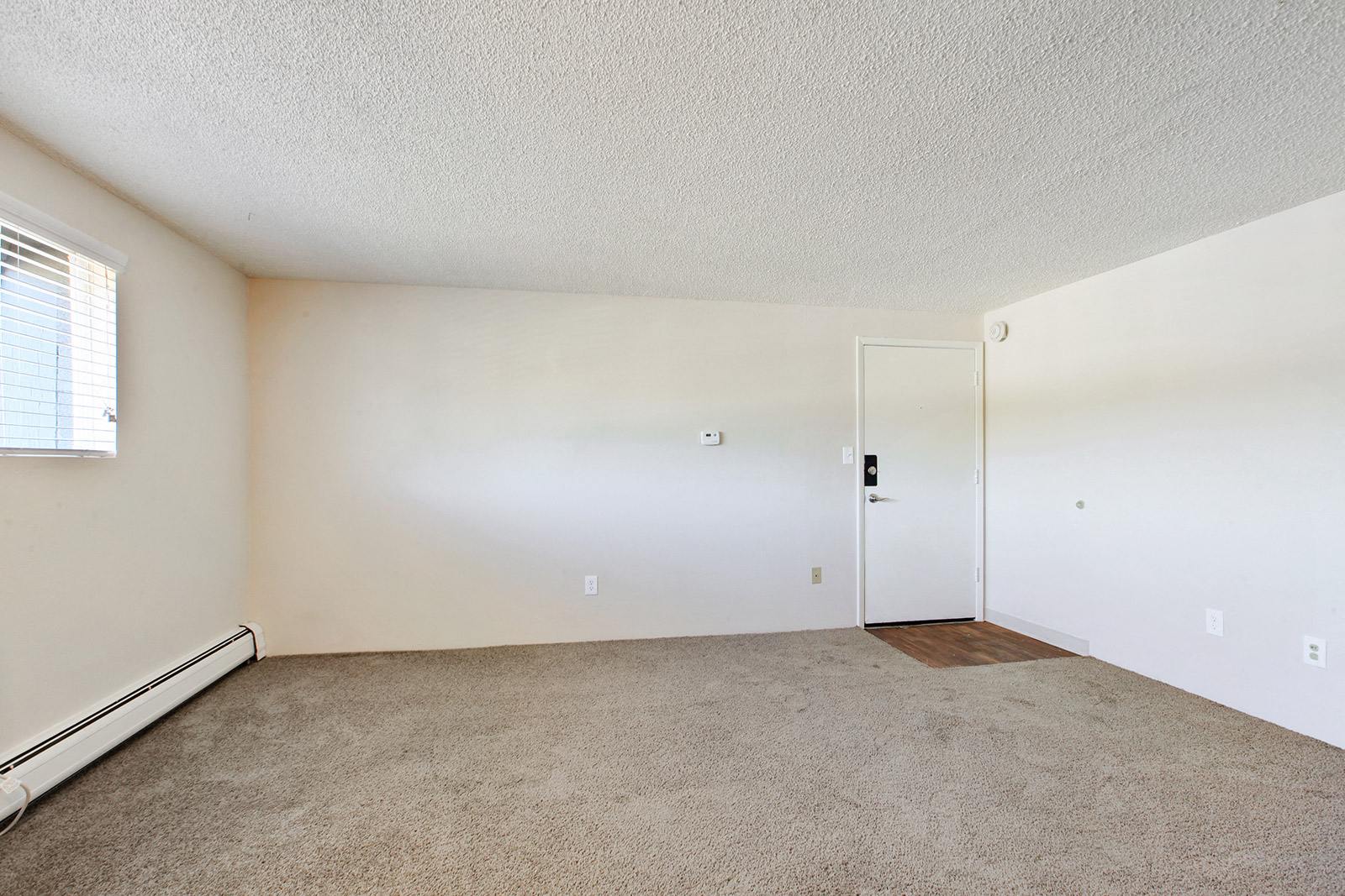 the spacious living room with carpet and a door to the bedroom
