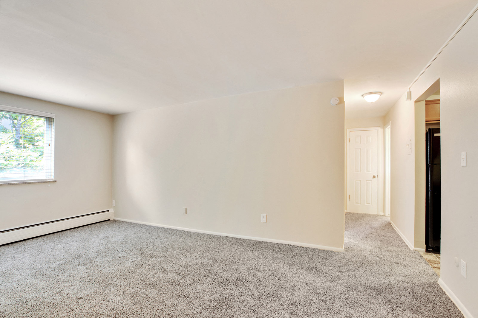 an empty living room with carpet and a window