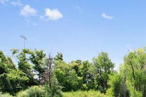 1010 9th Street Studio-3 Beds Apartment for Rent - Photo Gallery 3
