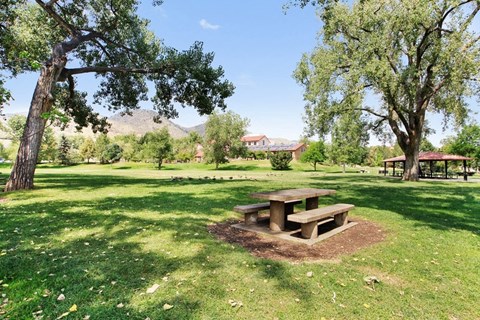 Picnic Area at Miners Mesa Apartments, Golden, CO
