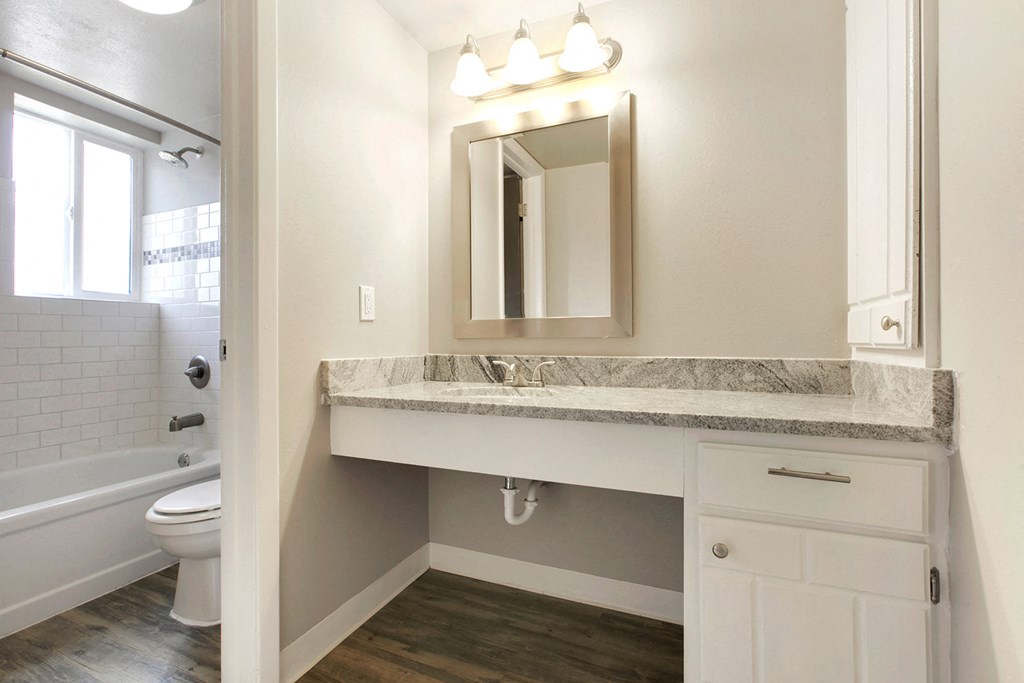 a bathroom with a sink and a toilet and a mirror