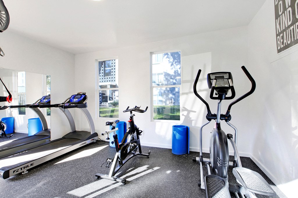 a gym with treadmills and bikes in a room with windows