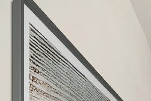 a bedroom with a bed and a ceiling fan