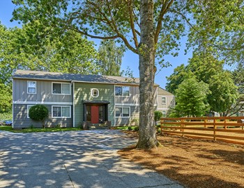 Exterior view of community. Shows a large tree along with wooded area. - Photo Gallery 2