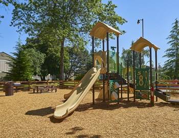 Playground with a large slide and thing to climb on. Area completed with wood chips and surrounded with trees. - Photo Gallery 4